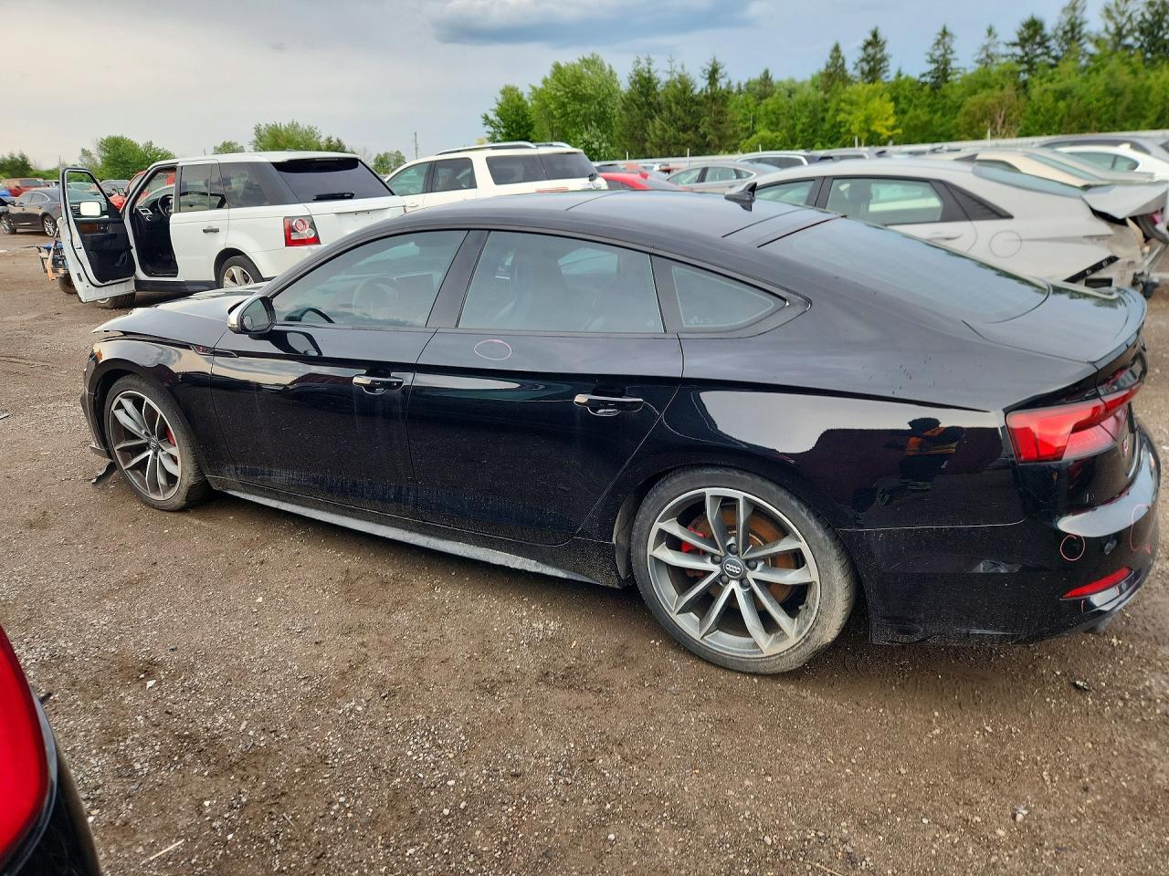 2018 Audi S5 Prestige - Фото 2