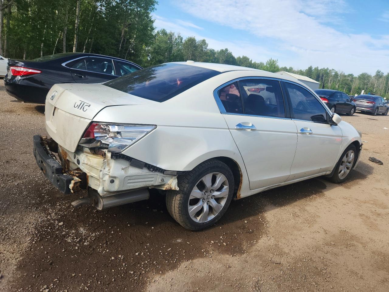 2008 Honda Accord Exl - Image 3
