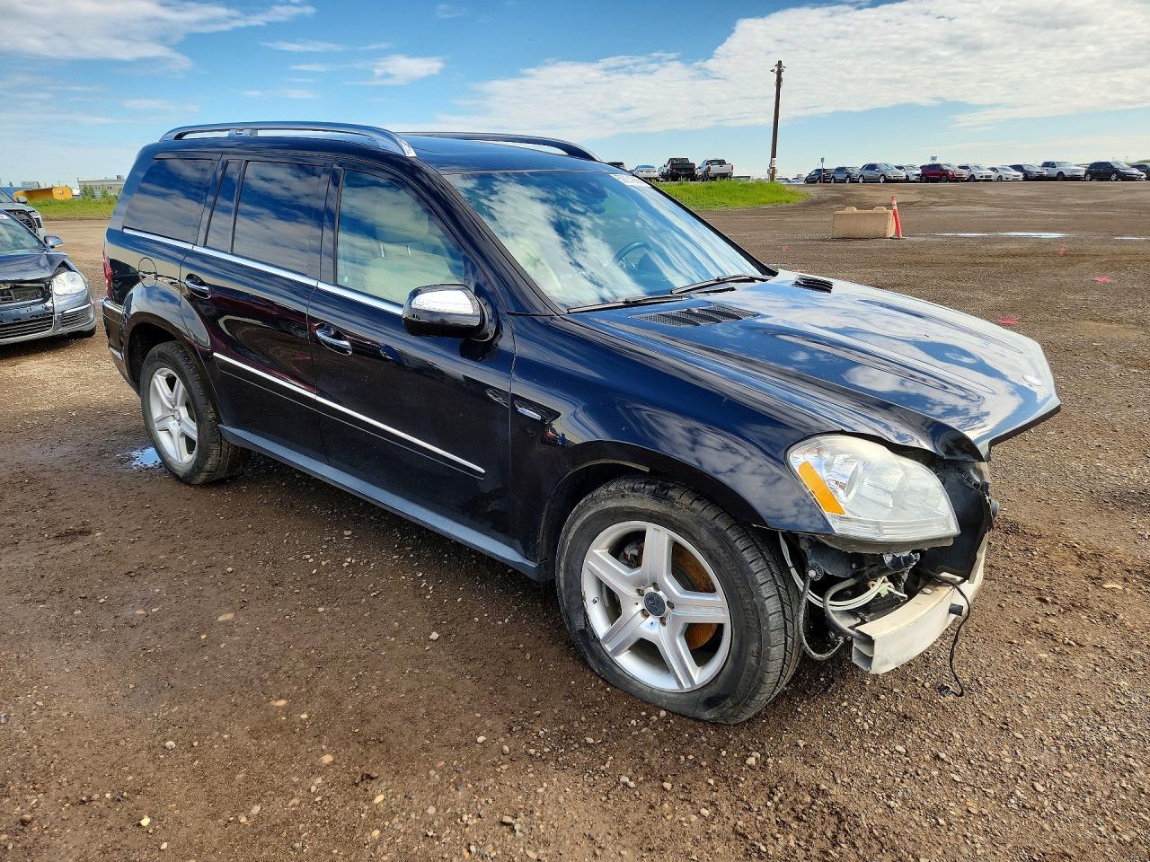 2010 Mercedes-Benz Gl 350 Bluetec - Фото 4