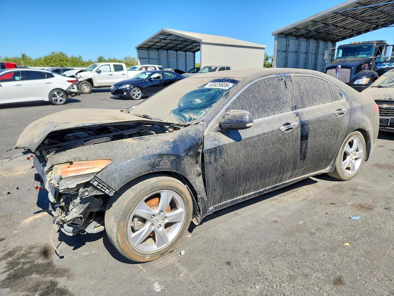 2013 Acura Tsx Tech