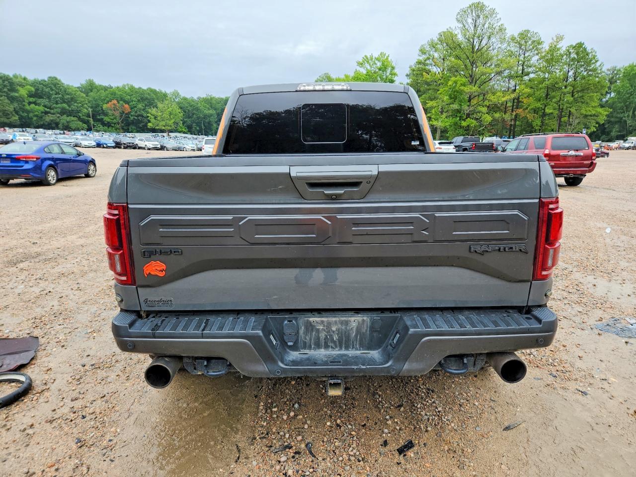 2018 Ford F150 Raptor - Фото 6