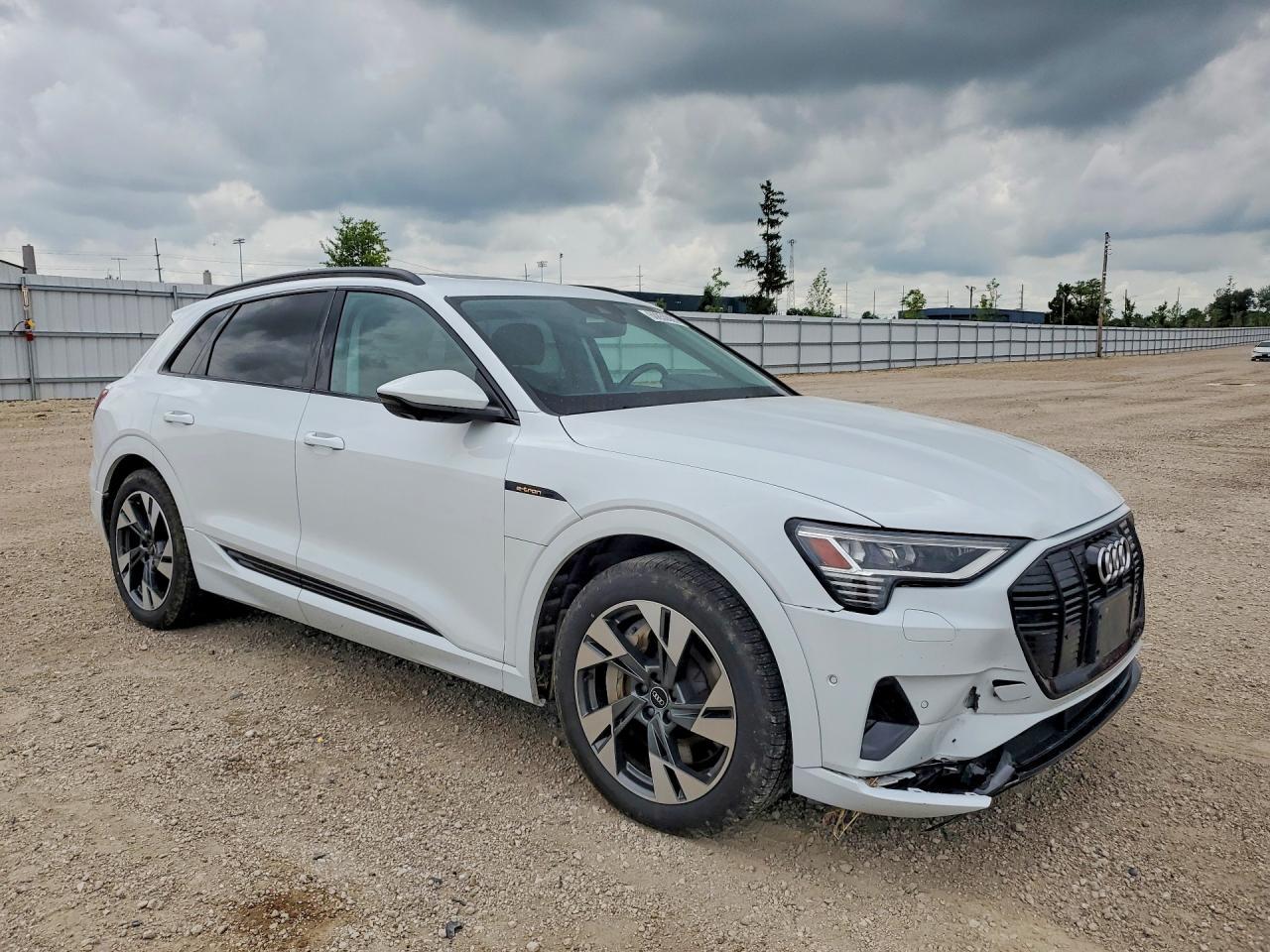 2021 Audi E-Tron Premium - Фото 4