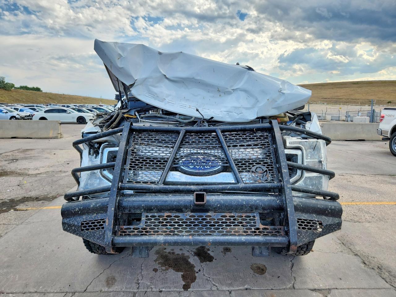 2022 Ford F250 Super Duty - Фото 5
