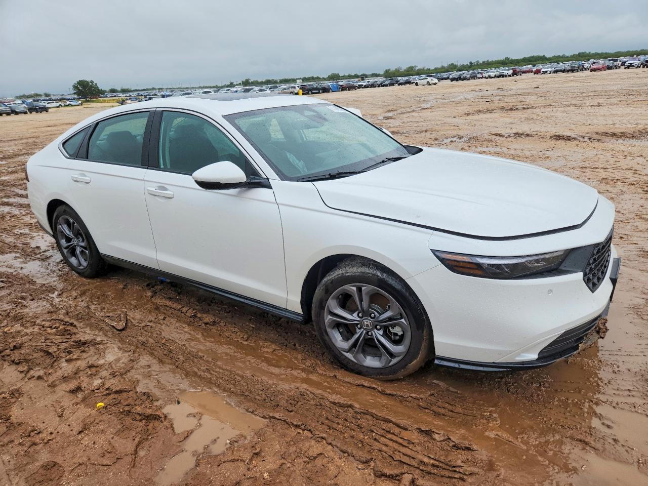 2025 Honda Accord Hybrid Exl - Image 4