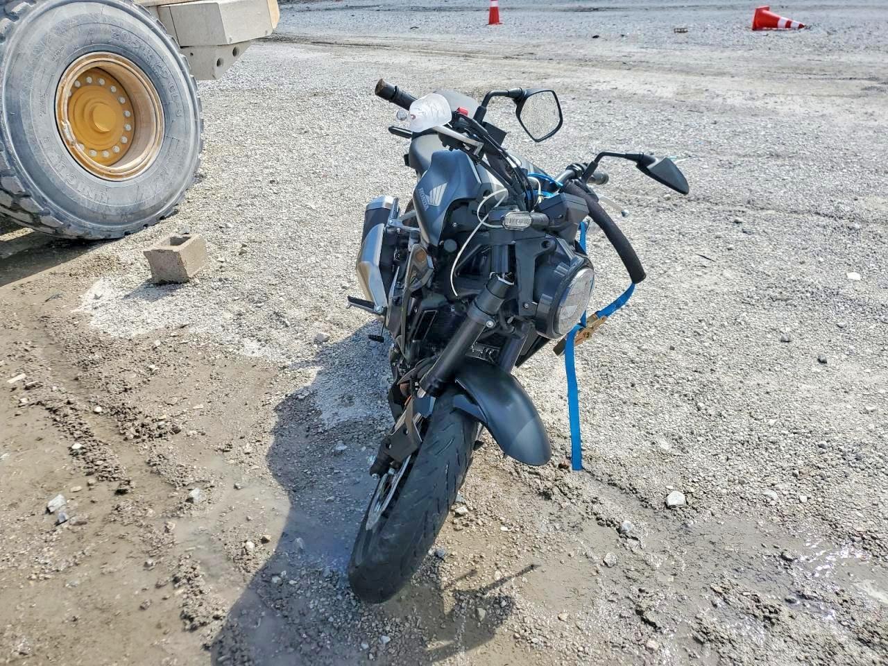 2024 Honda Cbf300 - Image 2