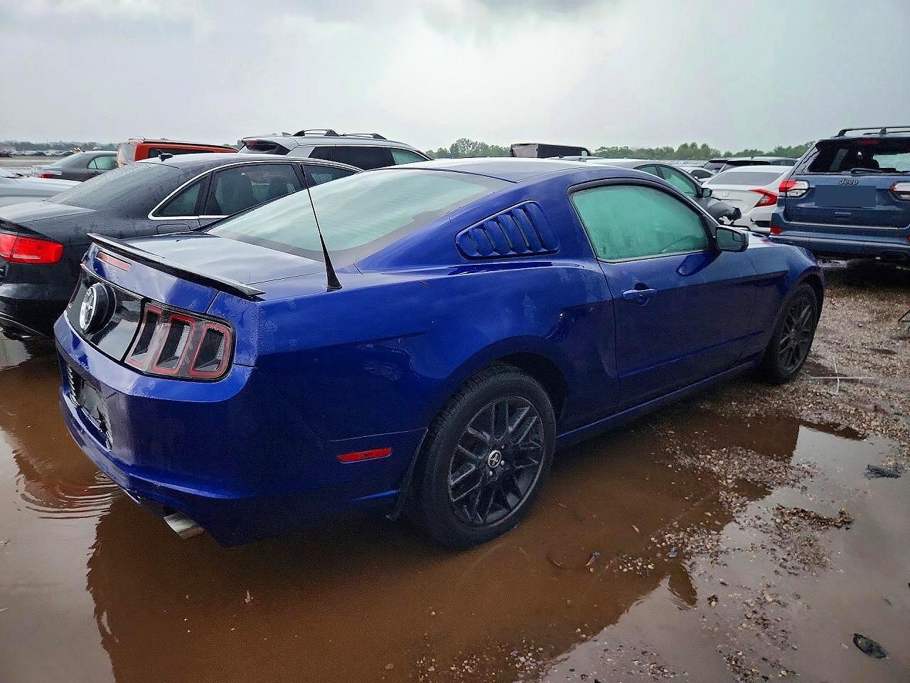 2013 Ford Mustang - Фото 3