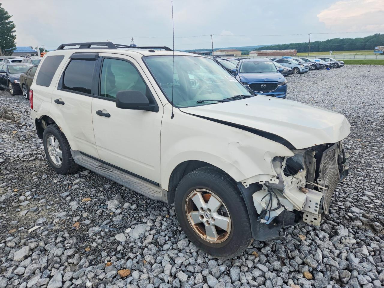 2010 Ford Escape Xlt - Image 4