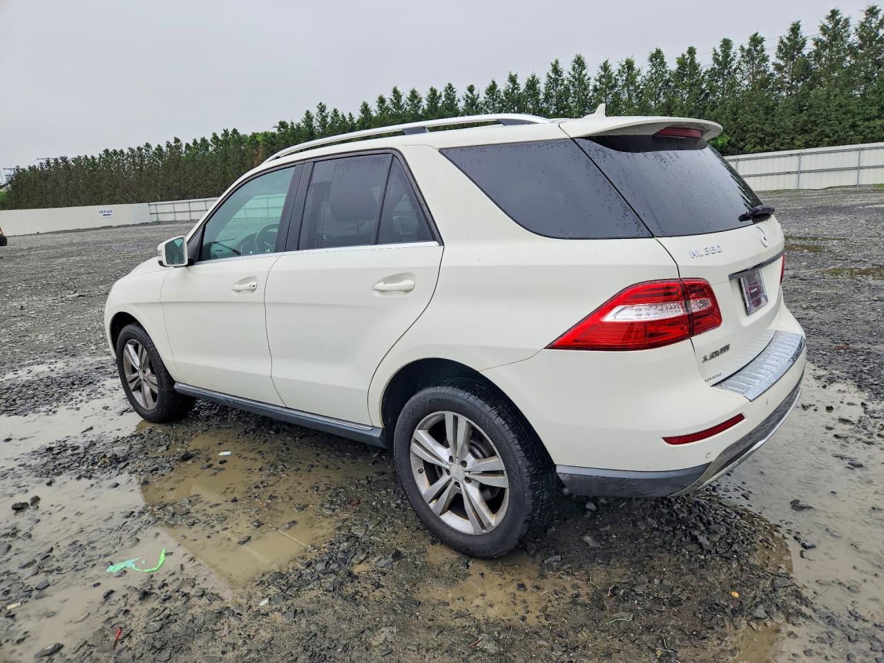 2013 Mercedes-Benz Ml 350 4Matic - Фото 2