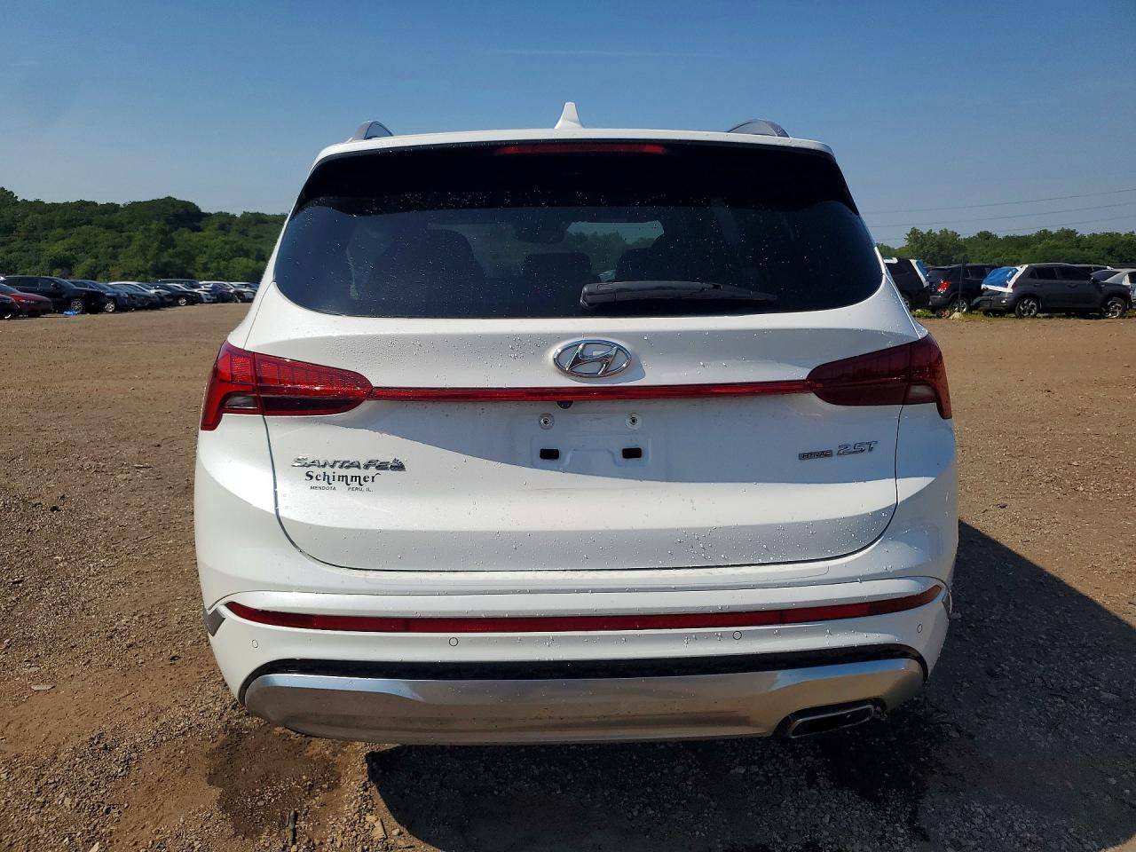 2021 Hyundai Santa Fe Calligraphy - Фото 6
