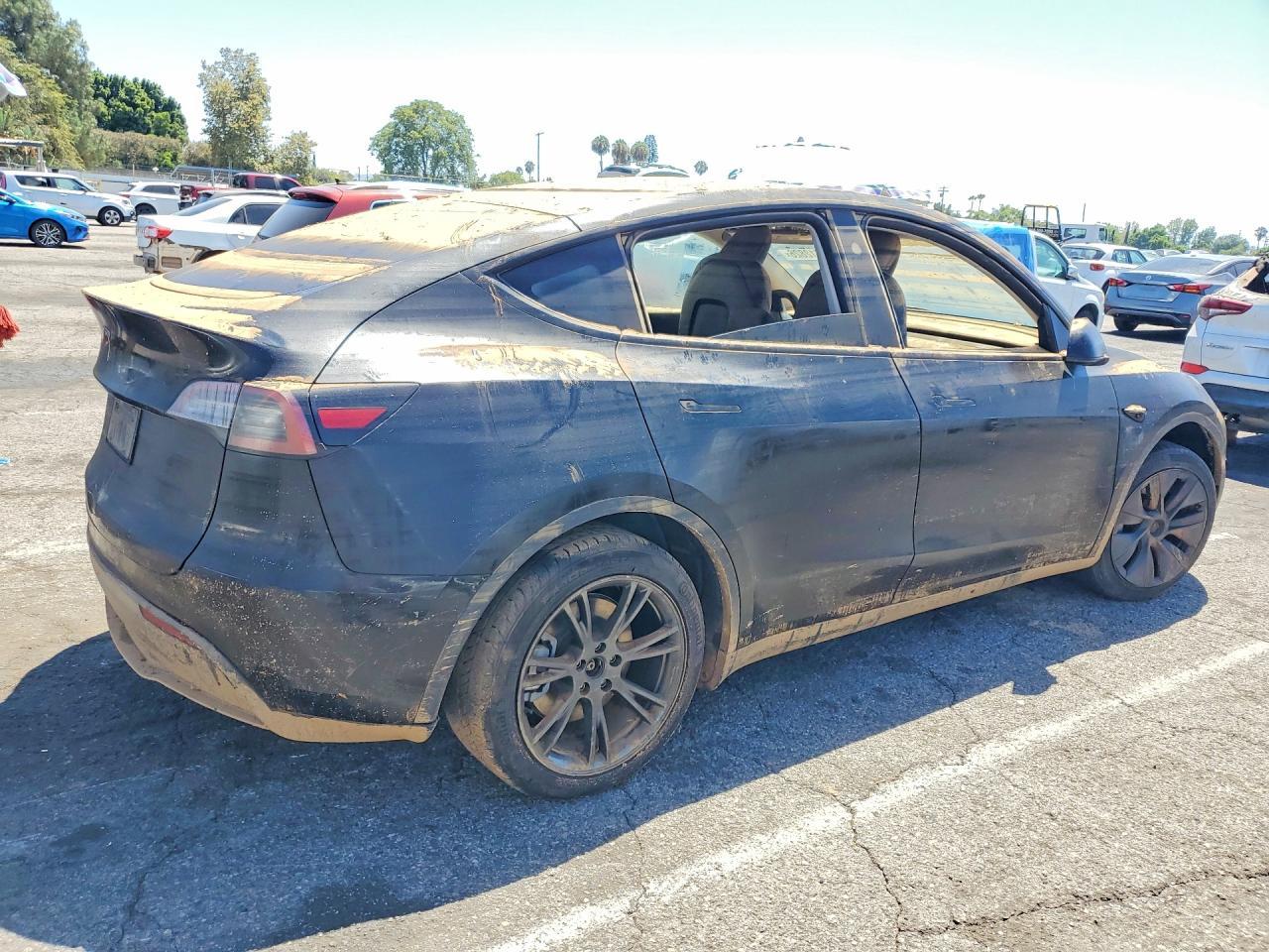 2024 Tesla Model Y - Фото 3