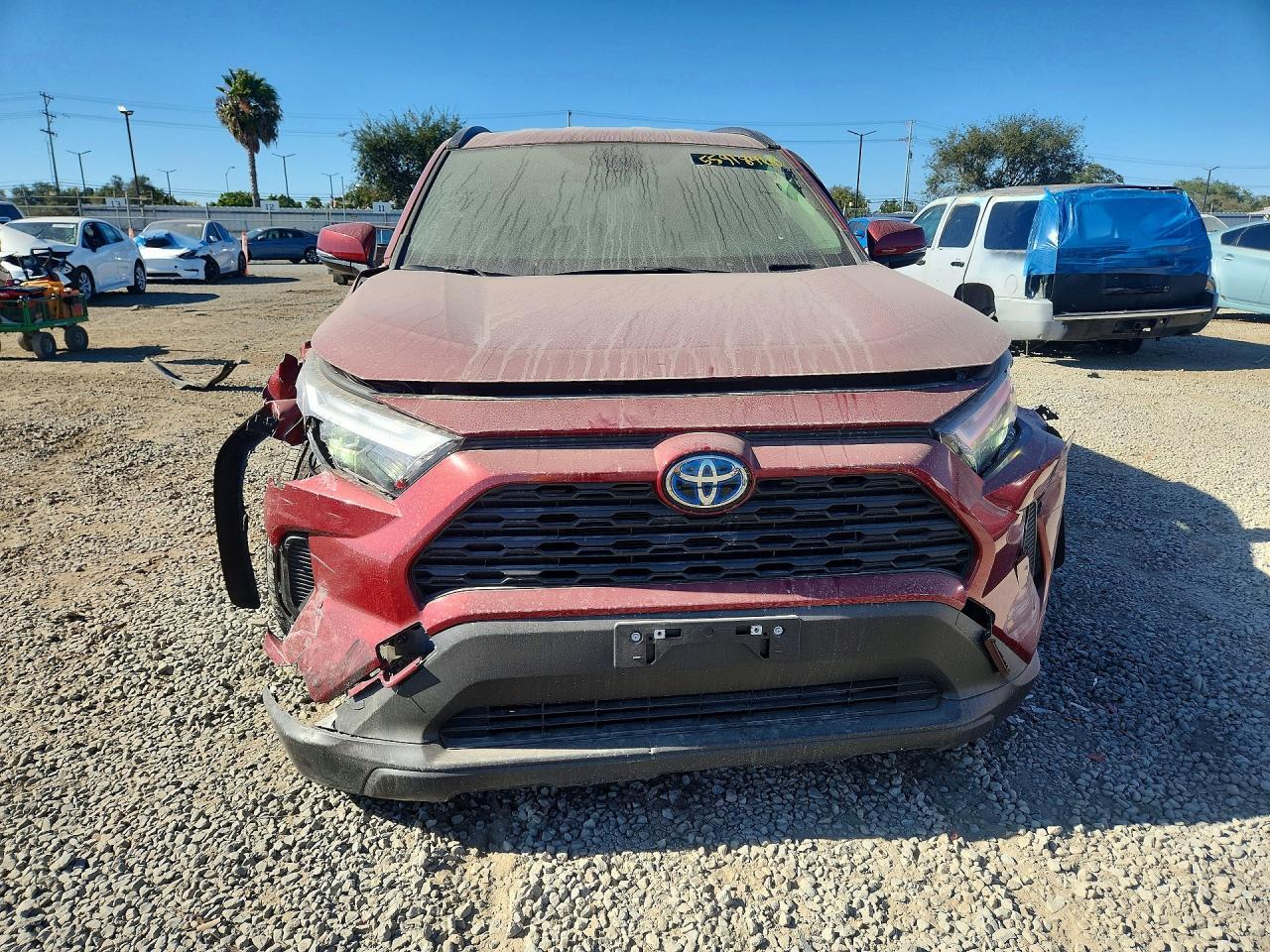2024 Toyota Rav4 Le - Фото 5