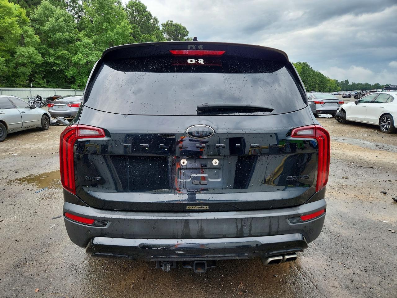 2021 Kia Telluride Sx - Image 6