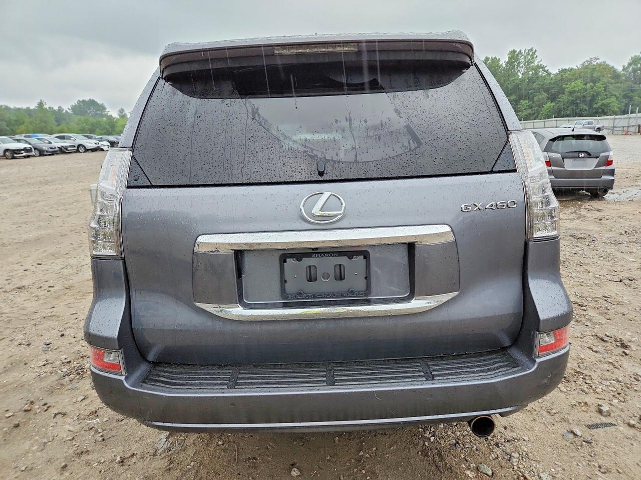 2018 Lexus Gx 460 - Фото 6