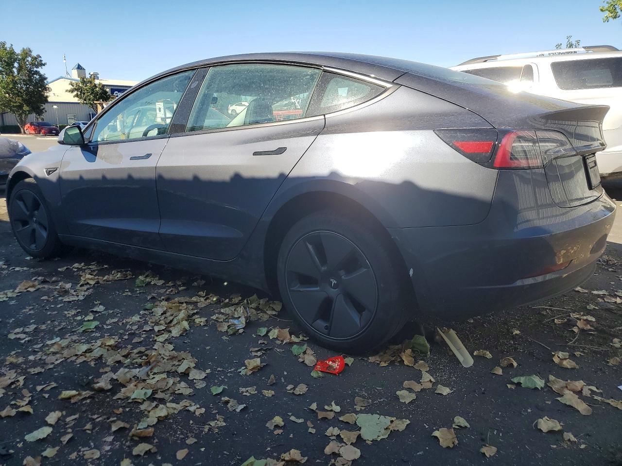 2023 Tesla Model 3 - Фото 2