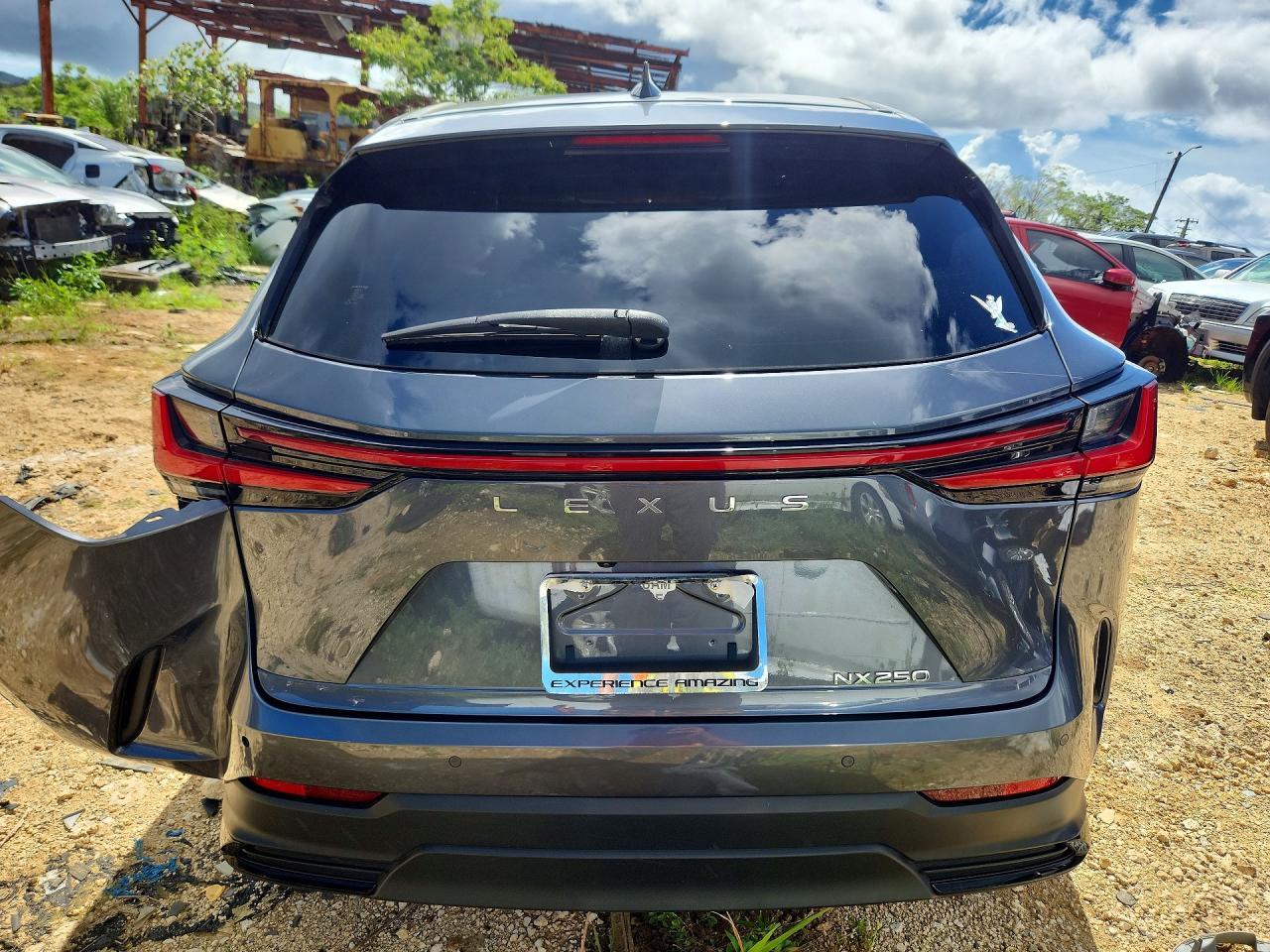 2024 Lexus Nx 250 Premium - Фото 6