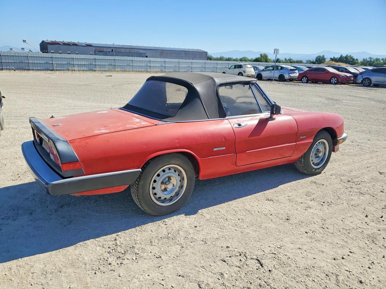 1987 Alfa Romeo Spider Graduate - Image 3