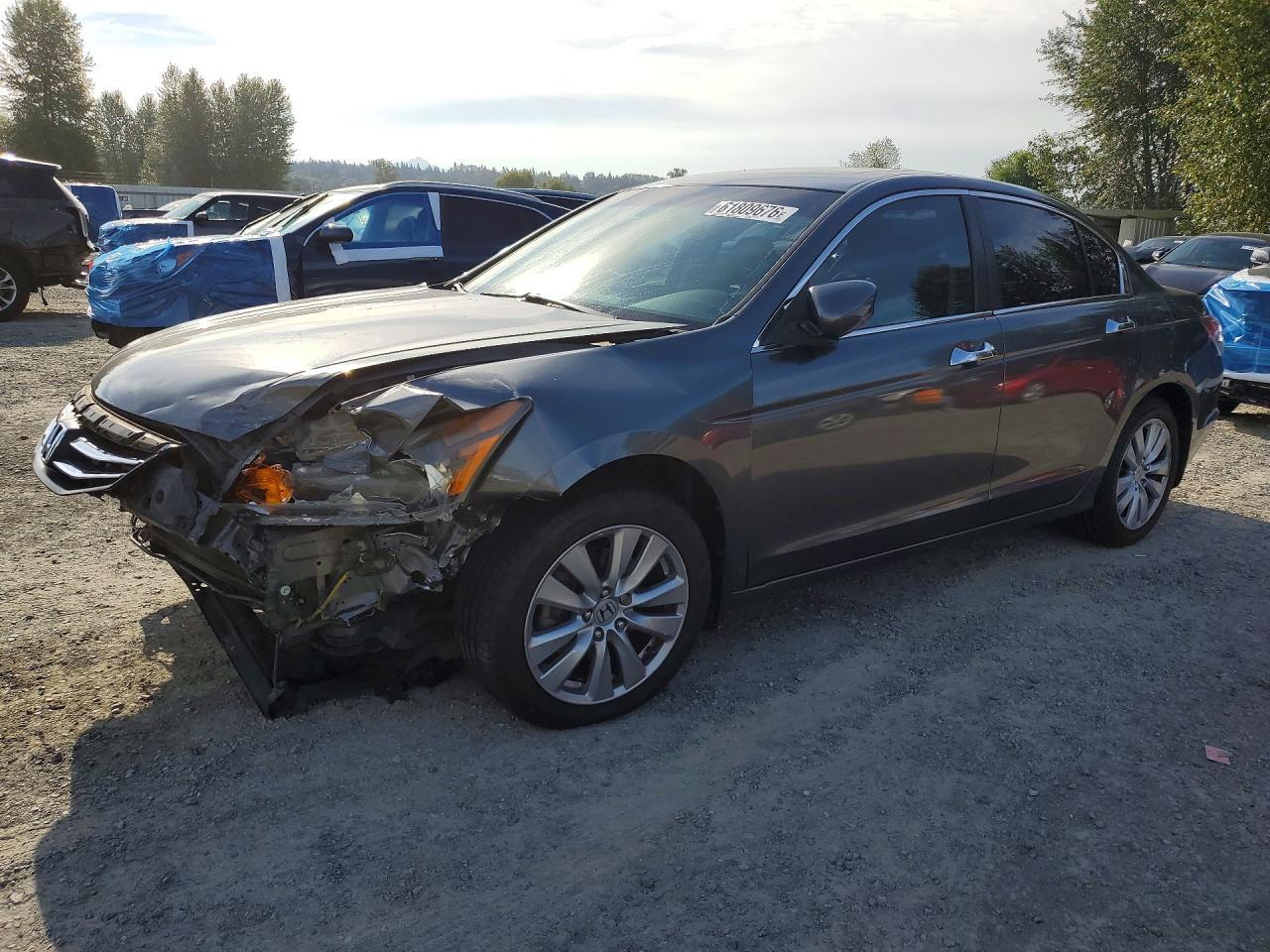 2011 Honda Accord Exl