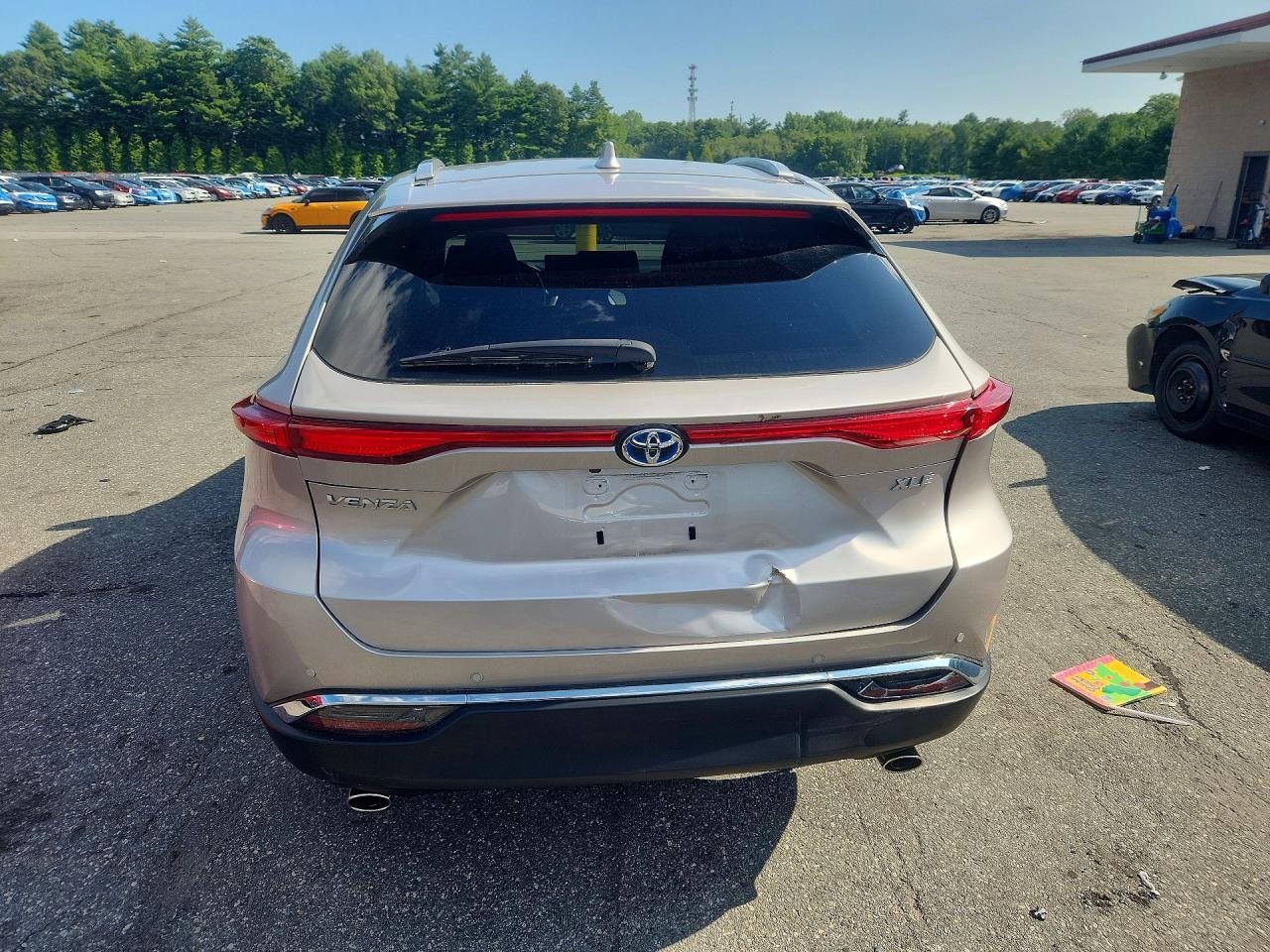 2024 Toyota Venza Xle - Image 6