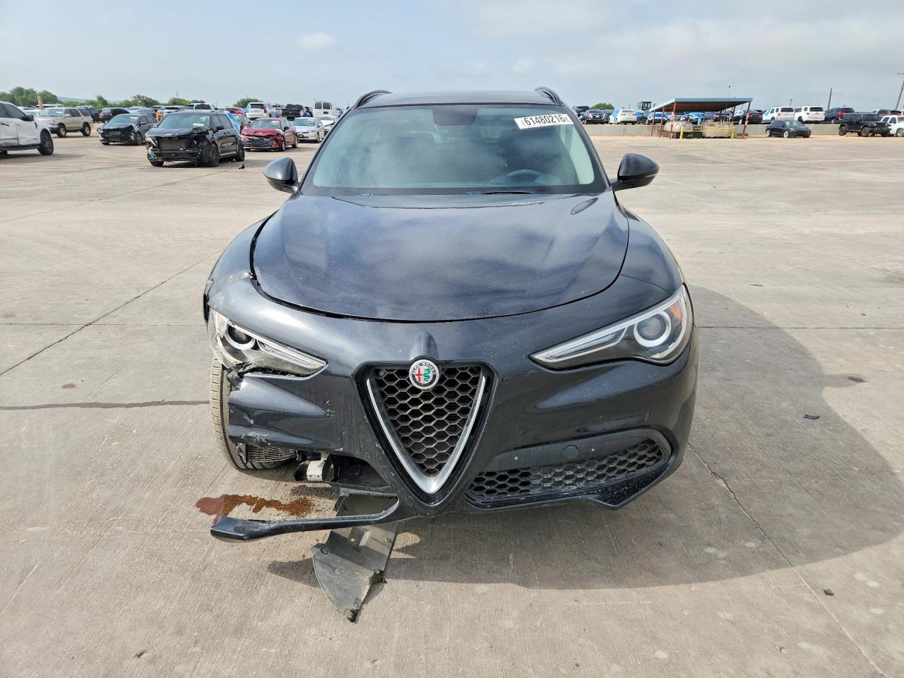 2019 Alfa Romeo Stelvio - Фото 5