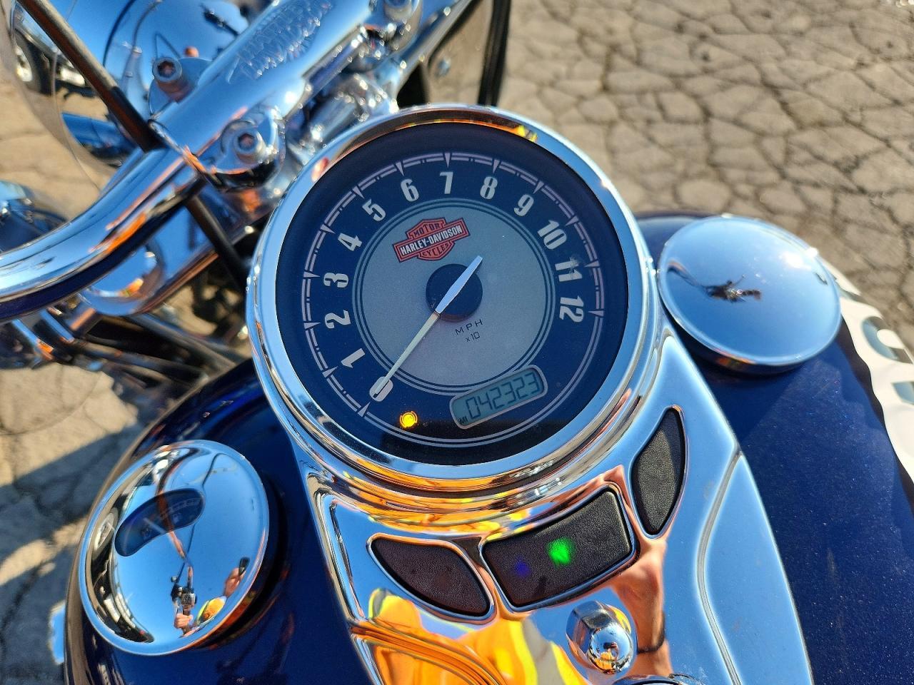 2014 Harley-Davidson Flstc Heritage Softail Classic - Фото 7