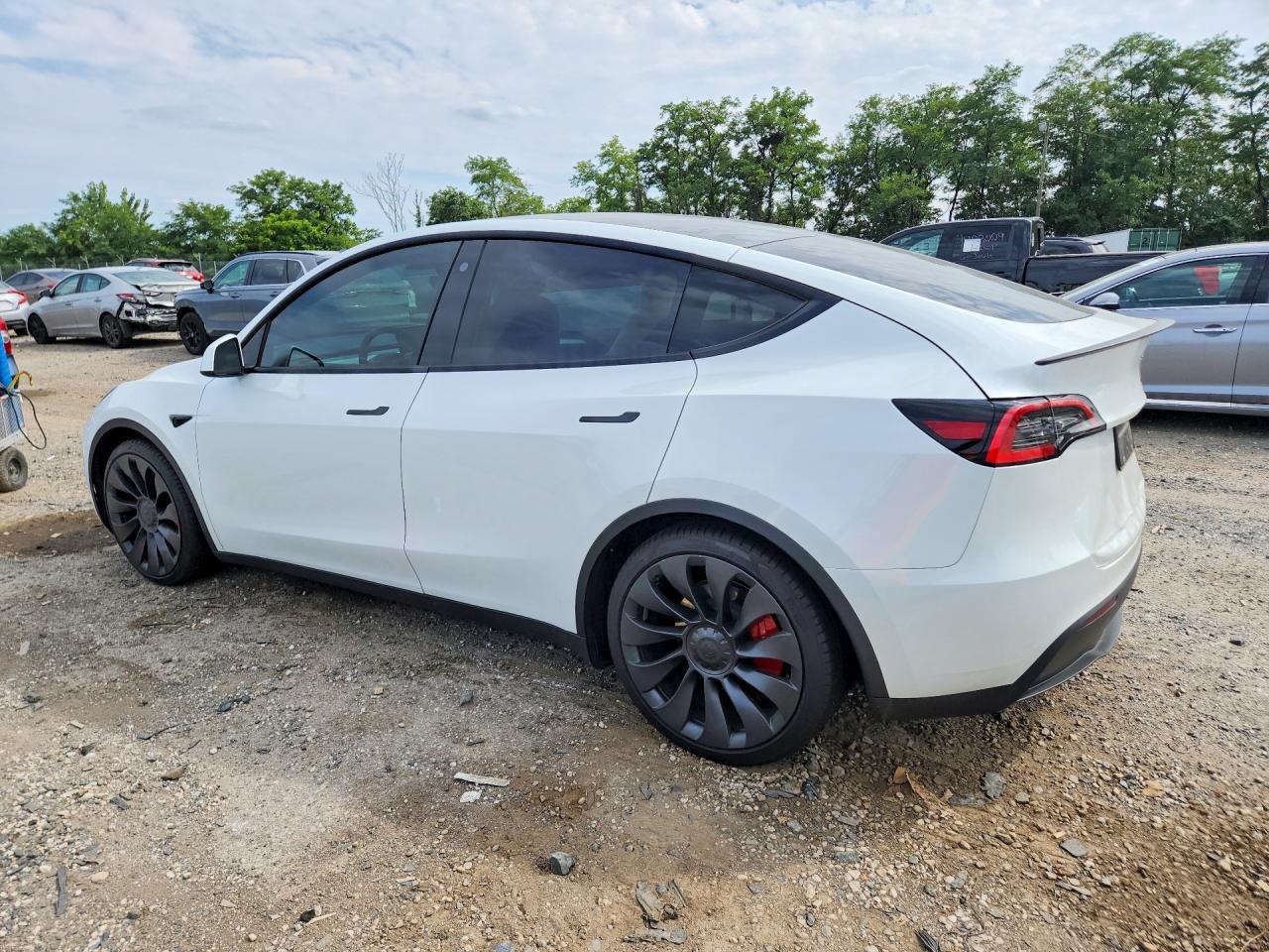 2023 Tesla Model Y - Фото 2