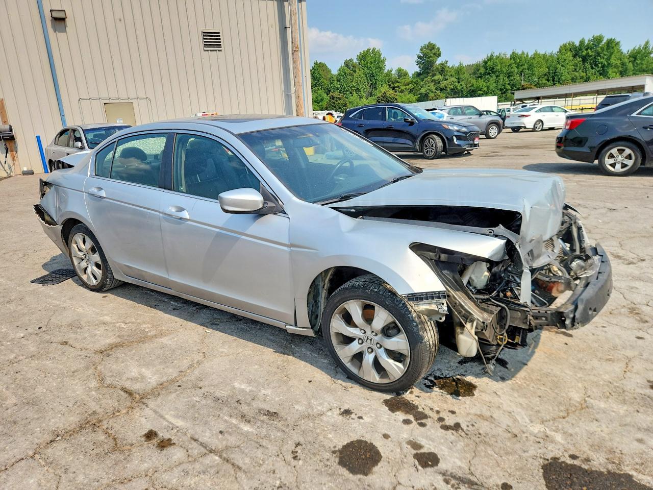 2008 Honda Accord Exl - Image 4