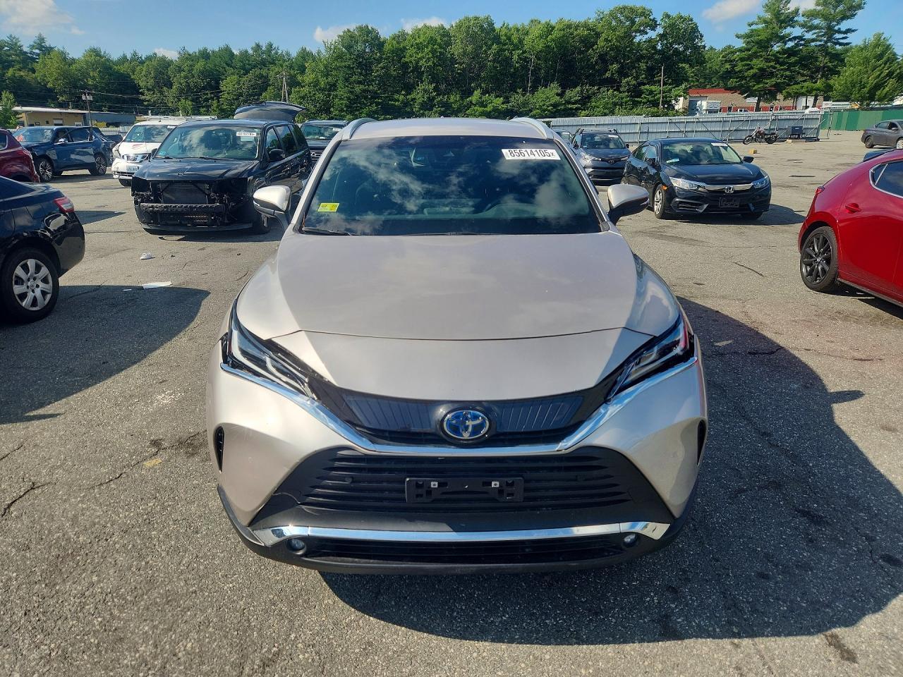 2024 Toyota Venza Xle - Image 5