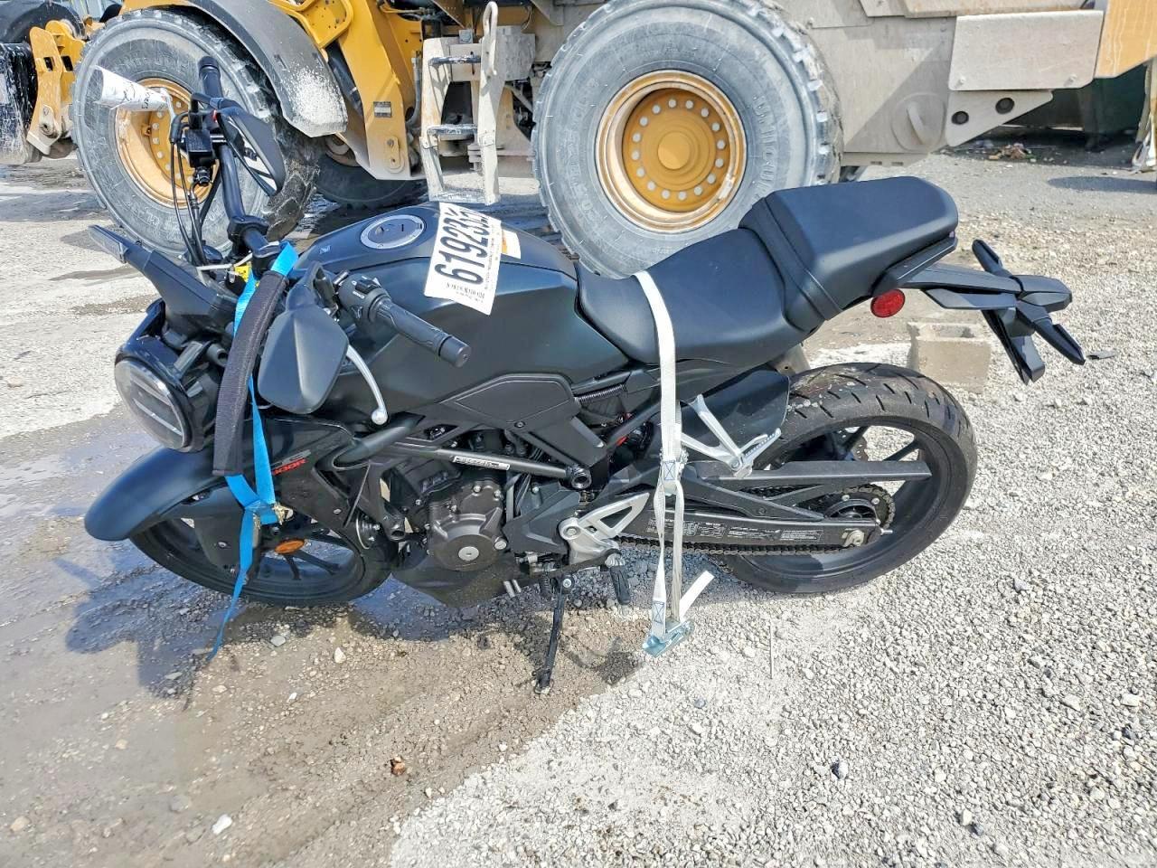 2024 Honda Cbf300 - Image 3