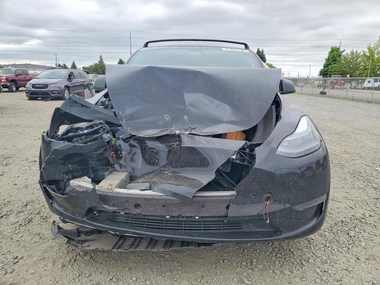 2024 Tesla Model Y - Фото 5