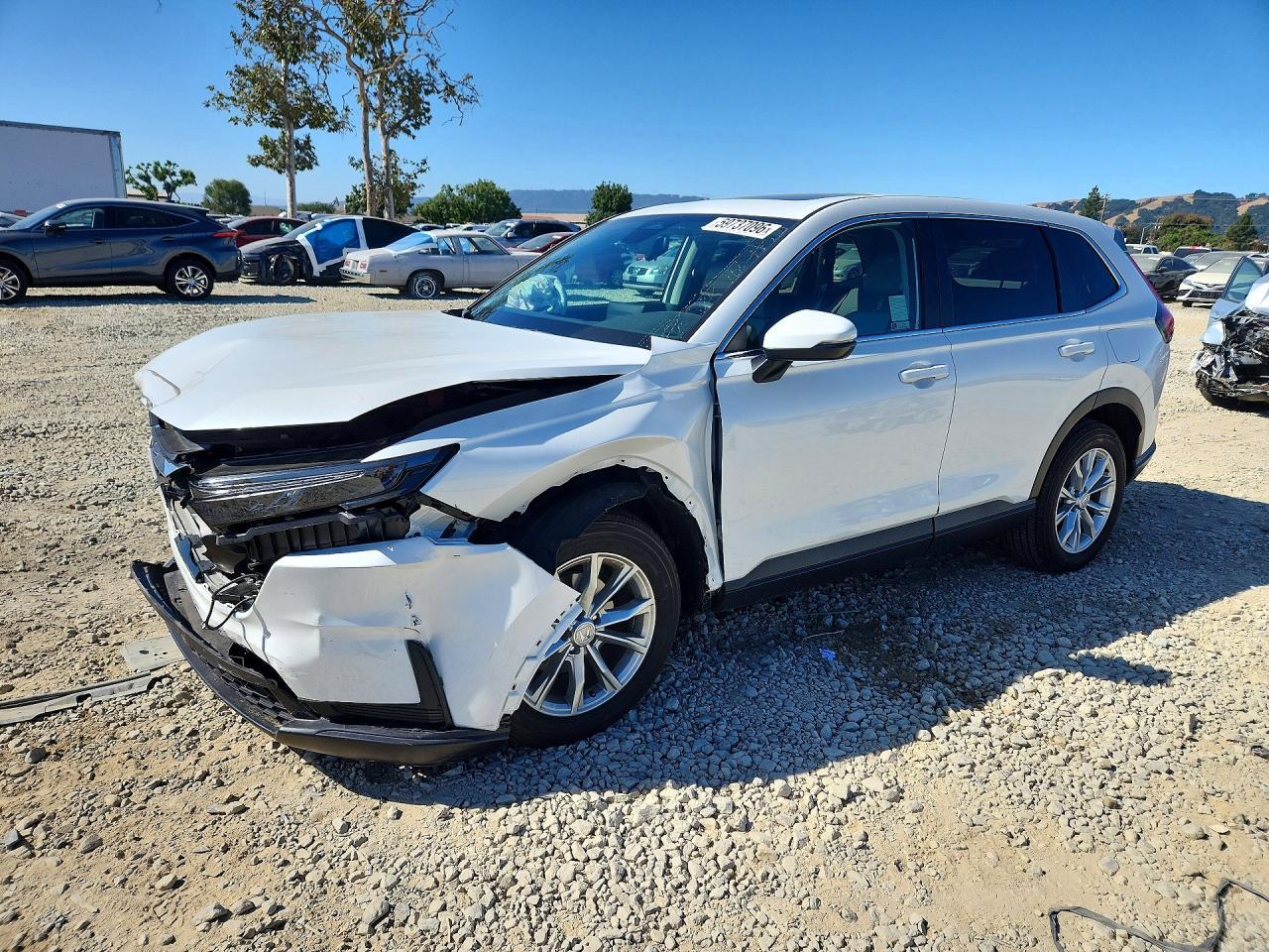 2024 Honda Cr-V Ex