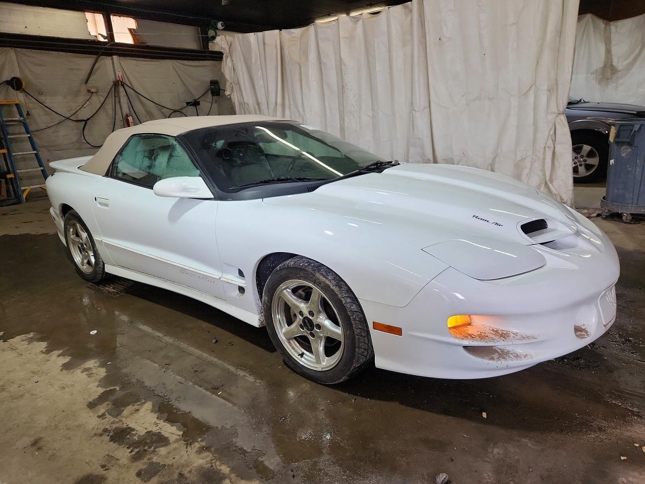 2000 Pontiac Firebird Trans Am - Image 4