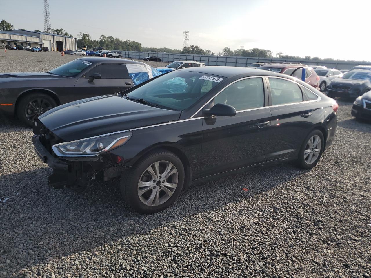 2019 Hyundai Sonata Se