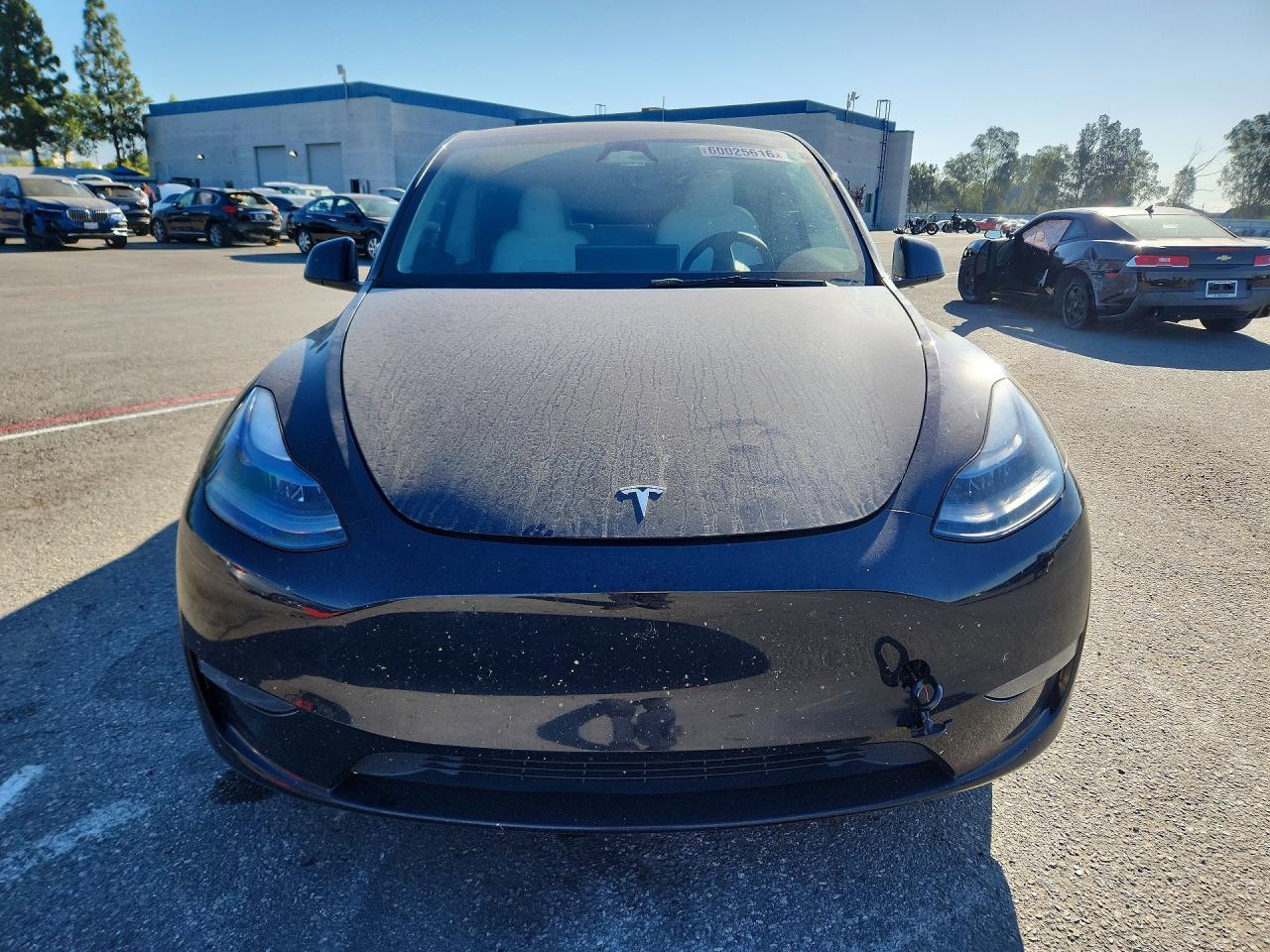 2023 Tesla Model Y - Фото 5