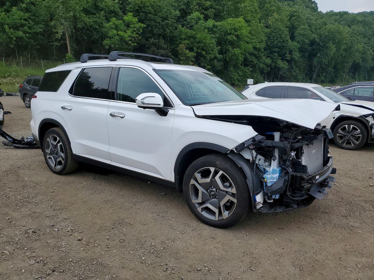 2025 Hyundai Palisade Sel Premium - Image 4