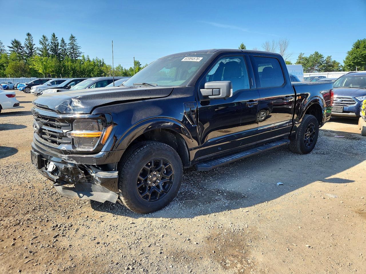 2024 Ford F150 Xlt