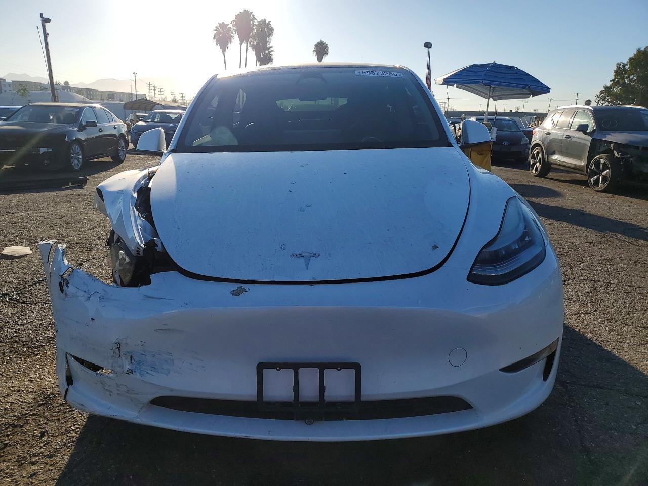 2023 Tesla Model Y - Фото 5