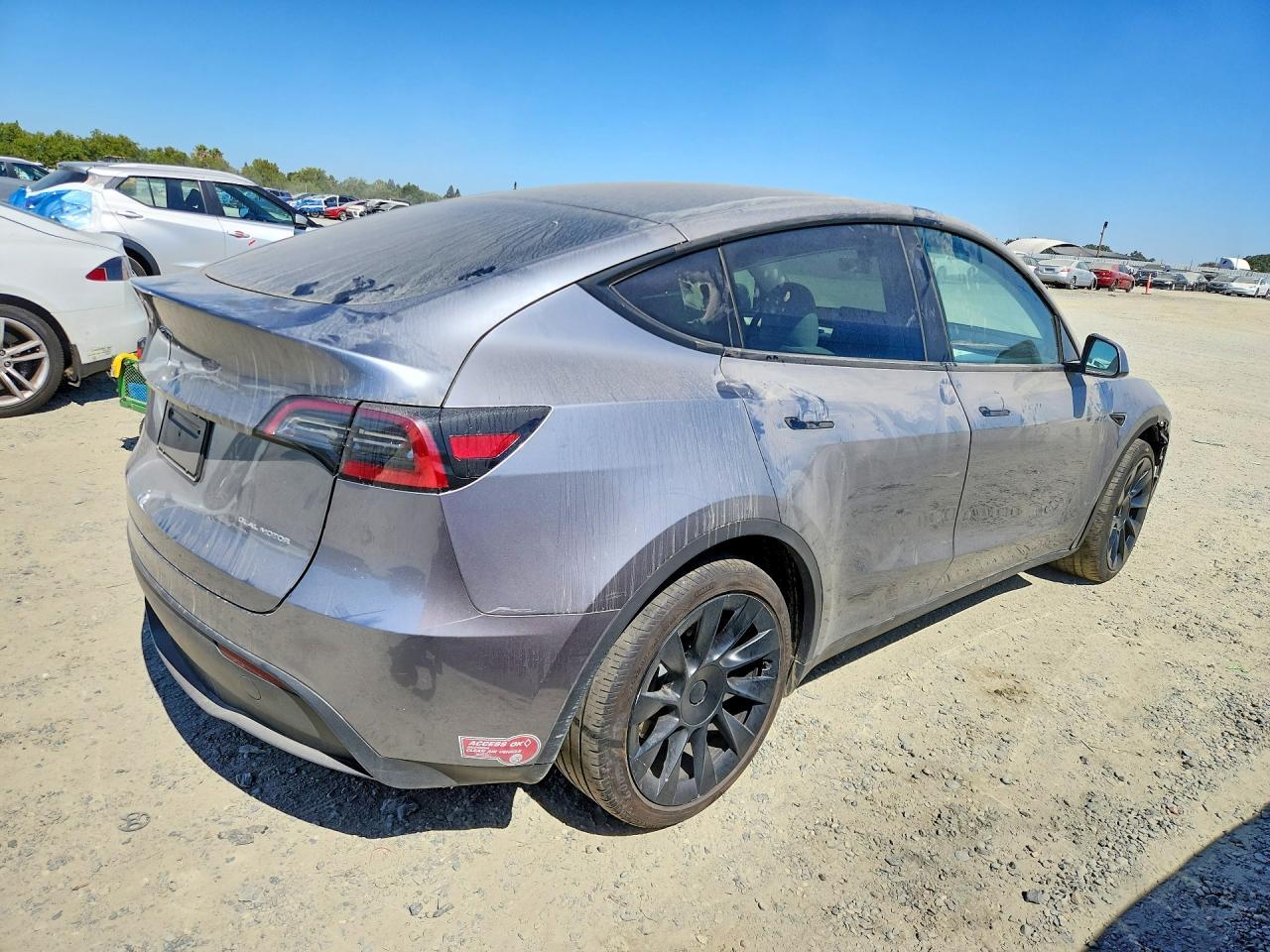 2025 Tesla Model Y - Фото 3