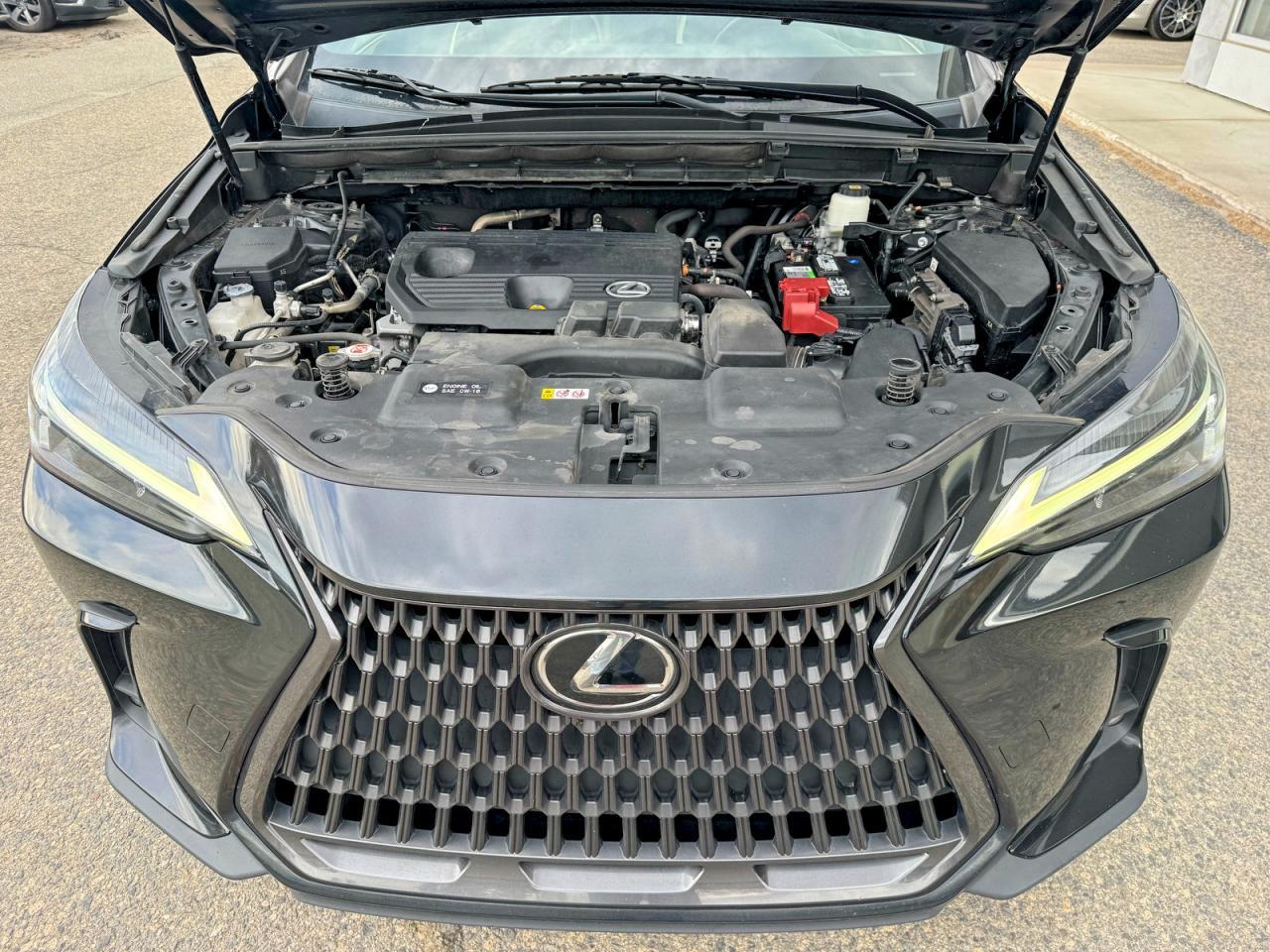 2022 Lexus Nx 250 - Фото 7