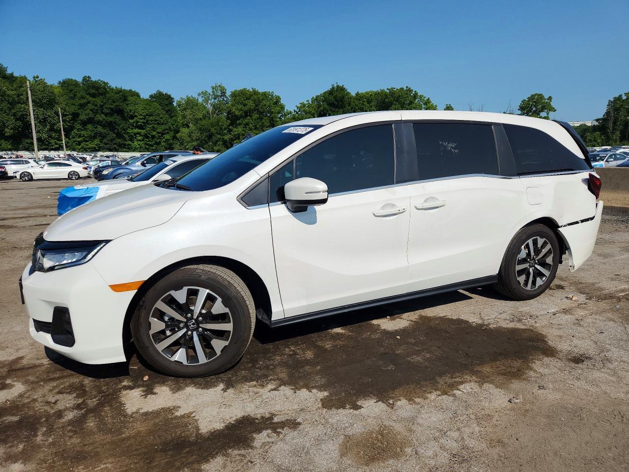 2026 Honda Odyssey Exl