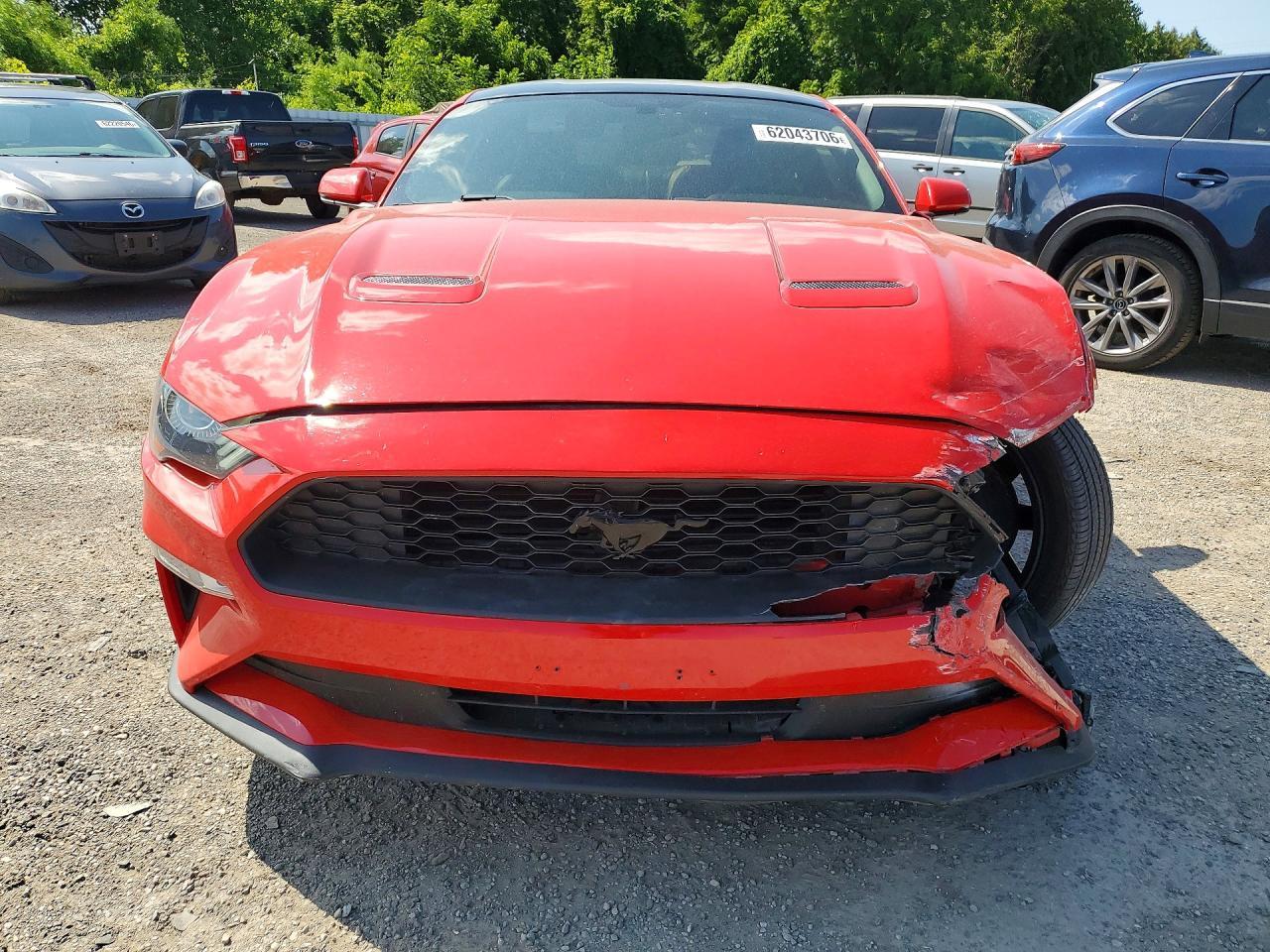2019 Ford Mustang - Image 5