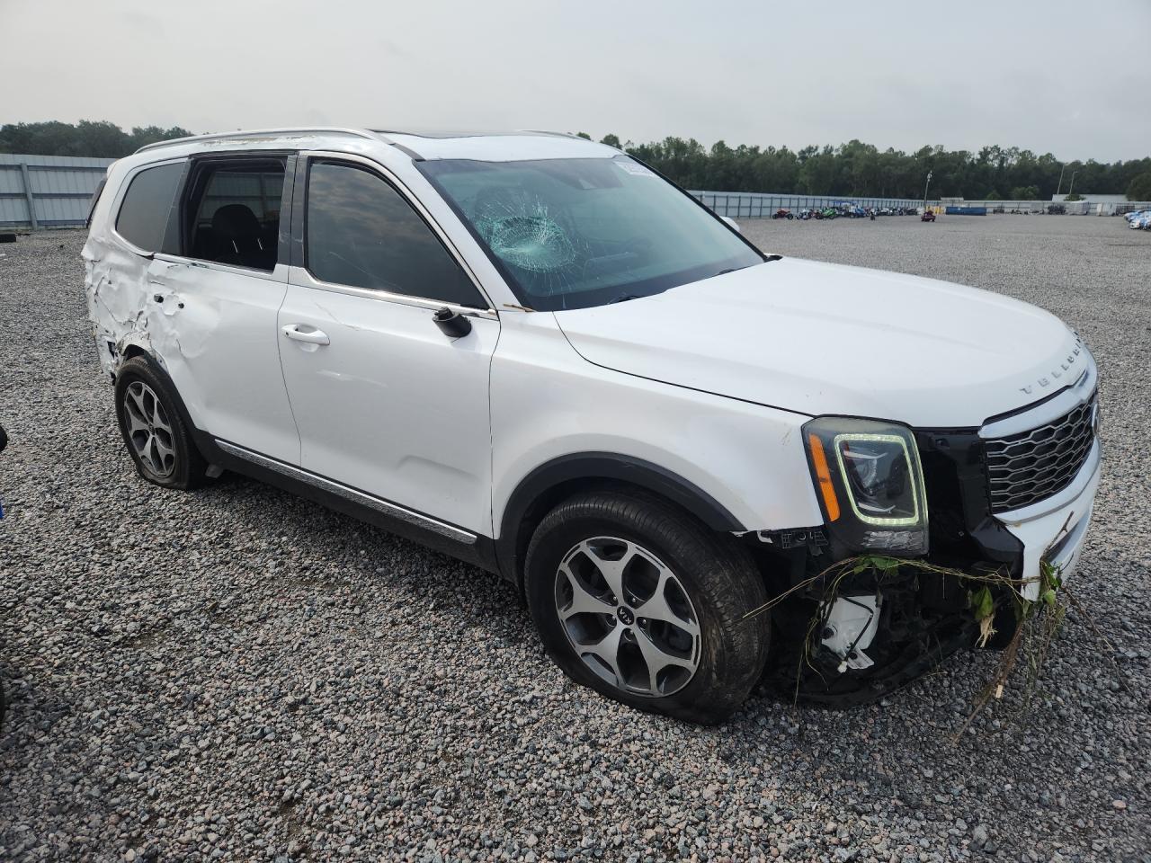 2020 Kia Telluride Ex - Фото 4
