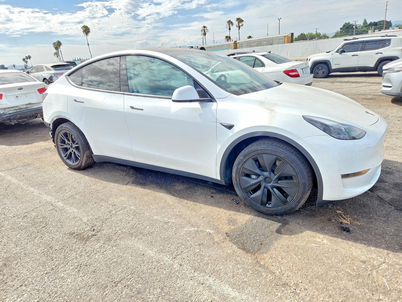 2025 Tesla Model Y - Фото 4
