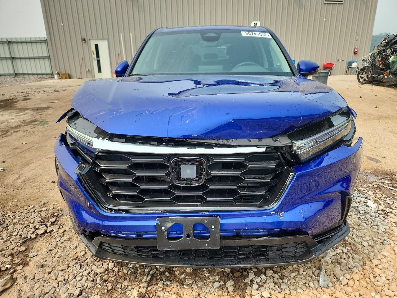 2025 Honda Cr-V Exl - Image 5