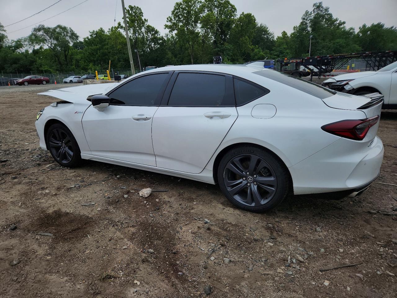 2021 Acura Tlx Tech A - Image 2