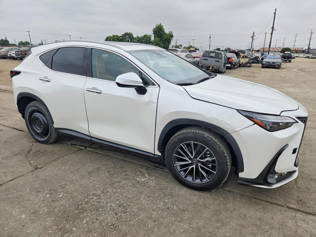 2024 Lexus Nx 350H Premium - Image 4