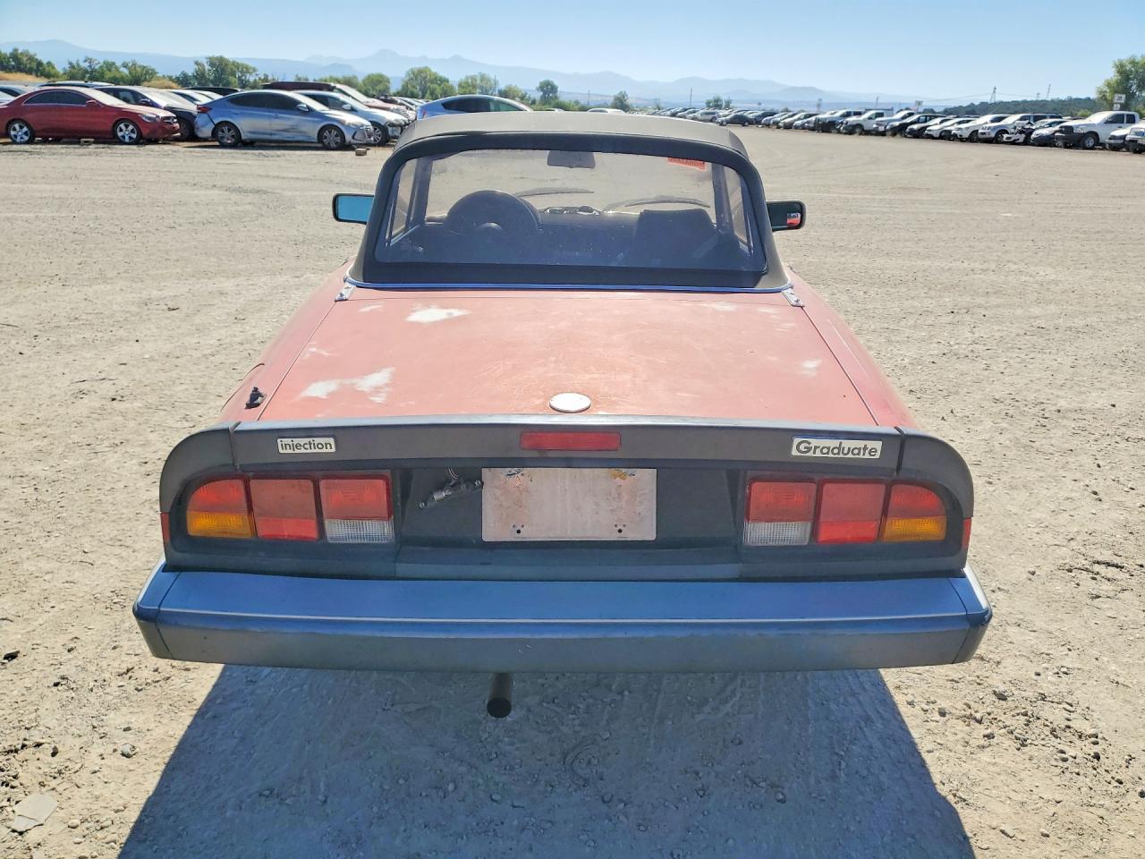 1987 Alfa Romeo Spider Graduate - Image 6