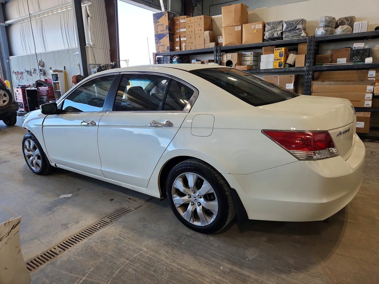 2008 Honda Accord Exl - Image 2