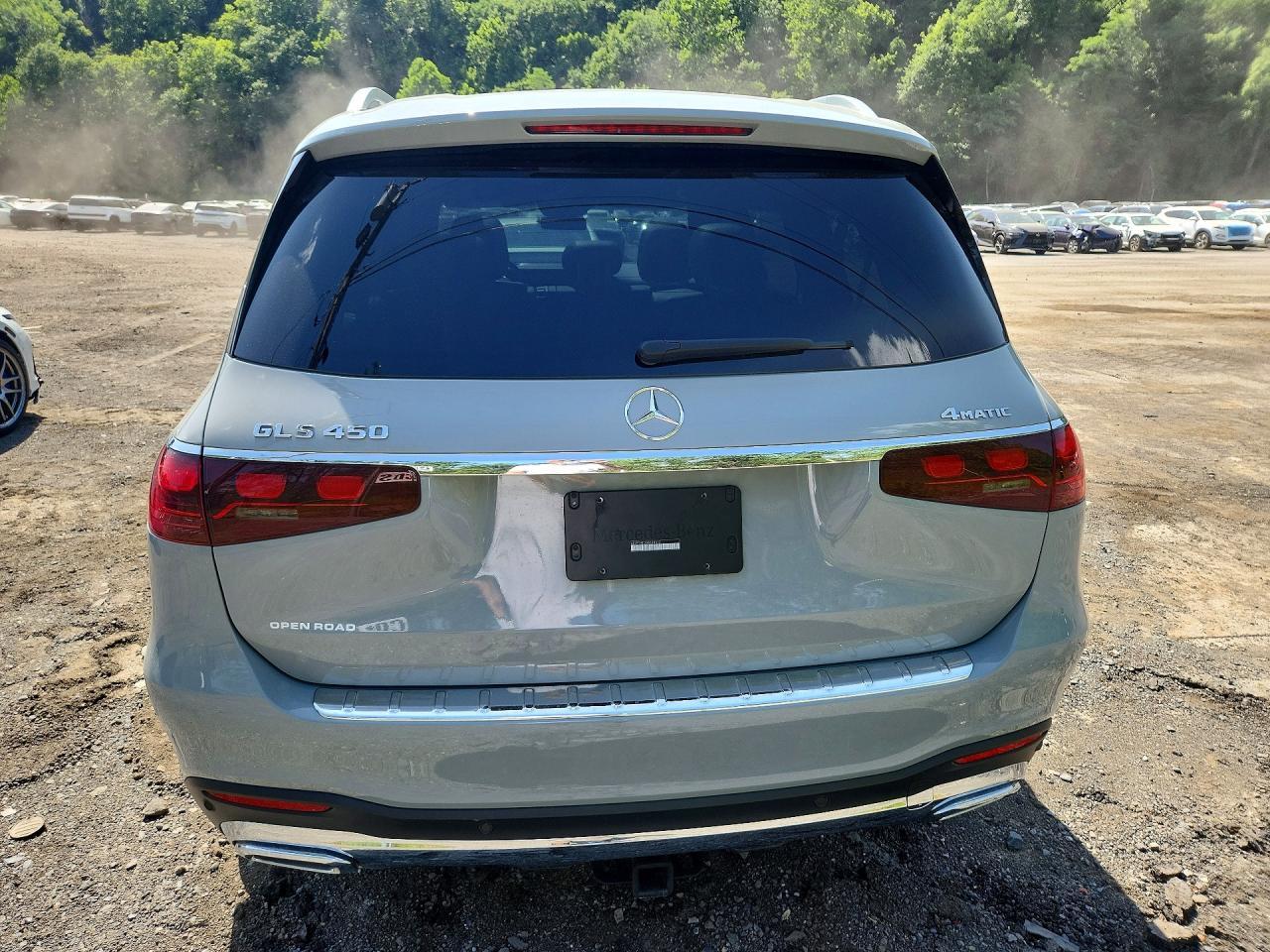 2025 Mercedes-Benz Gls 450 4Matic - Фото 6