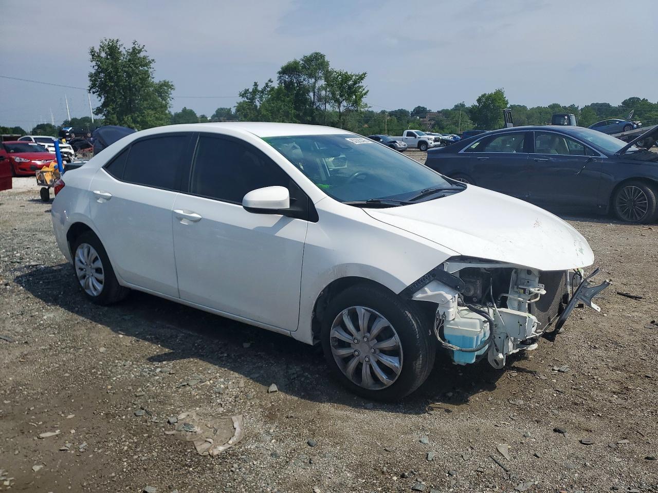 2019 Toyota Corolla Le - Фото 4