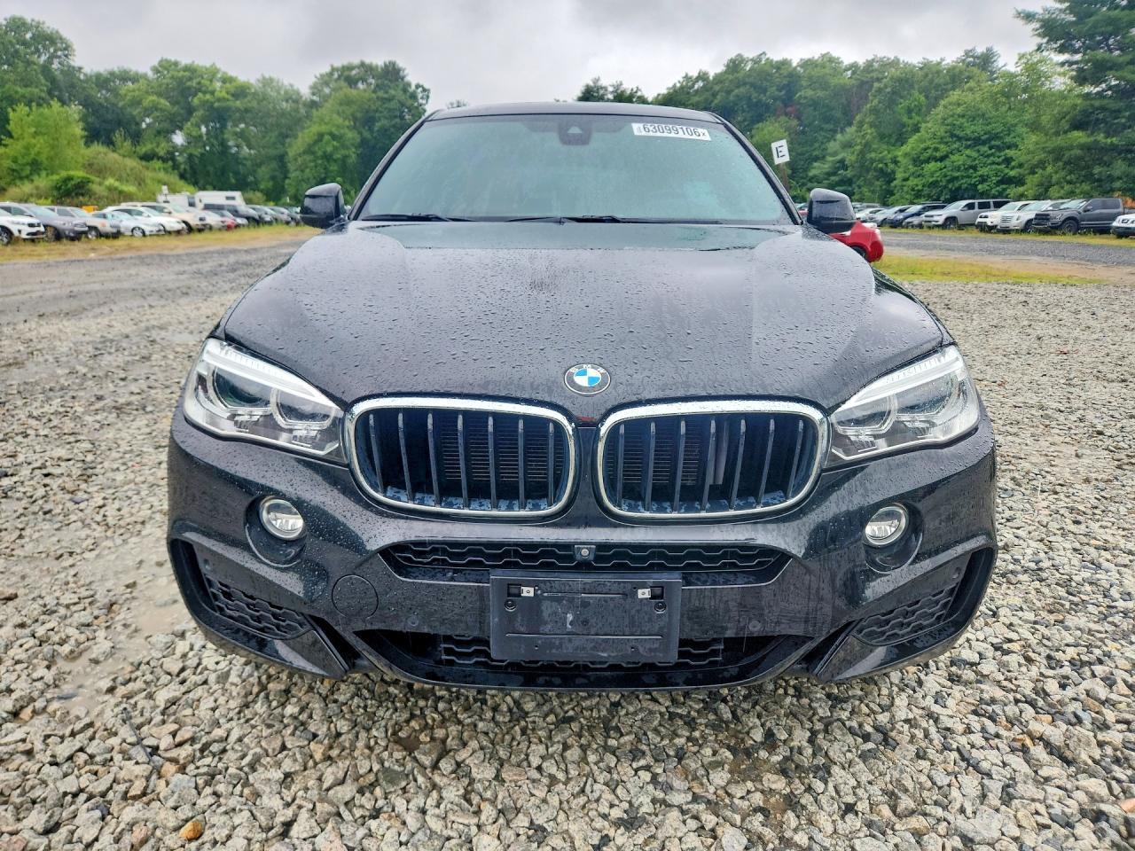 2019 BMW X6 xDrive35I - Фото 5